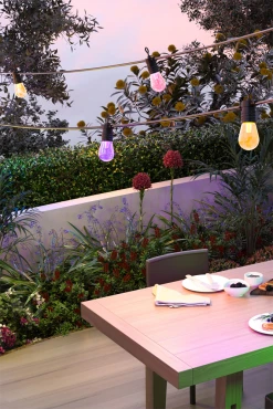 Calex Smart Outdoor Feestverlichting/Partystring - 10M 24V -Buiten En Tuinen calex smart outdoor feestverlichting partystring 10m 24v 5