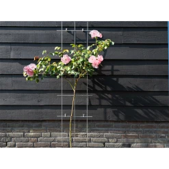 Nature - Metalen Klimrek Geplastificeerd Groen H145x42,5cm 6 Nature - Metalen Klimrek Geplastificeerd Groen H145x42,5cm -Buiten En Tuinen nature metalen klimrek geplastificeerd groen h145x42 5cm 3 2