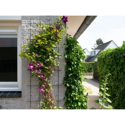 Nature - Metalen Klimrek Geplastificeerd Groen H145x57cm -Buiten En Tuinen nature metalen klimrek geplastificeerd groen h145x57cm 3 2