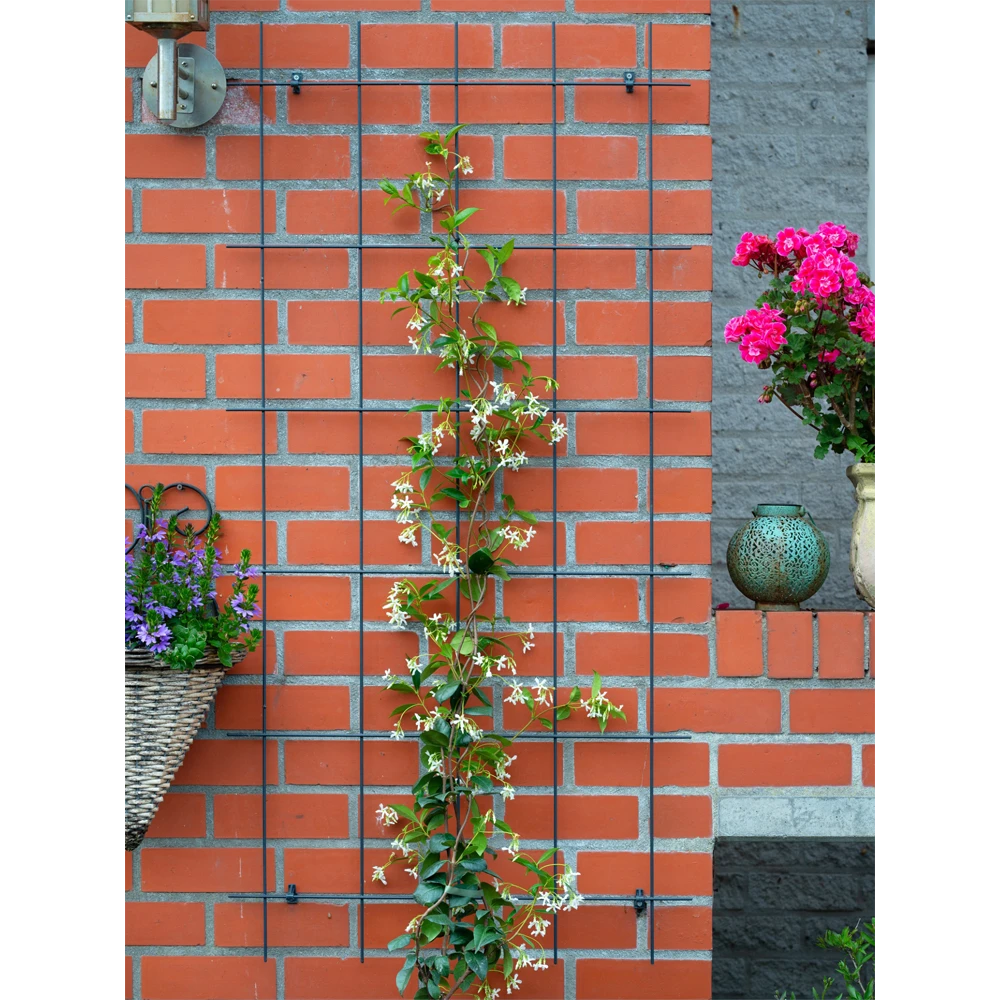 Nature - Metalen Klimrek Geplastificeerd Groen H145x72,5cm 2 Nature - Metalen Klimrek Geplastificeerd Groen H145x72,5cm - Afbeelding 2