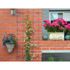 Nature - Metalen Klimrek Geplastificeerd Groen H145x72,5cm 6 Nature - Metalen Klimrek Geplastificeerd Groen H145x72,5cm -Buiten En Tuinen nature metalen klimrek geplastificeerd groen h145x72 5cm 3 2