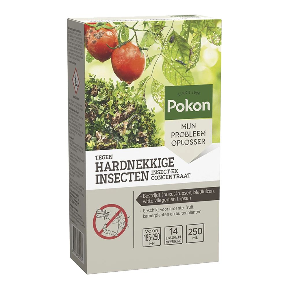 Pokon Tegen Hardnekkige Insecten Concentraat 250ml - Insecten En Ongedierte