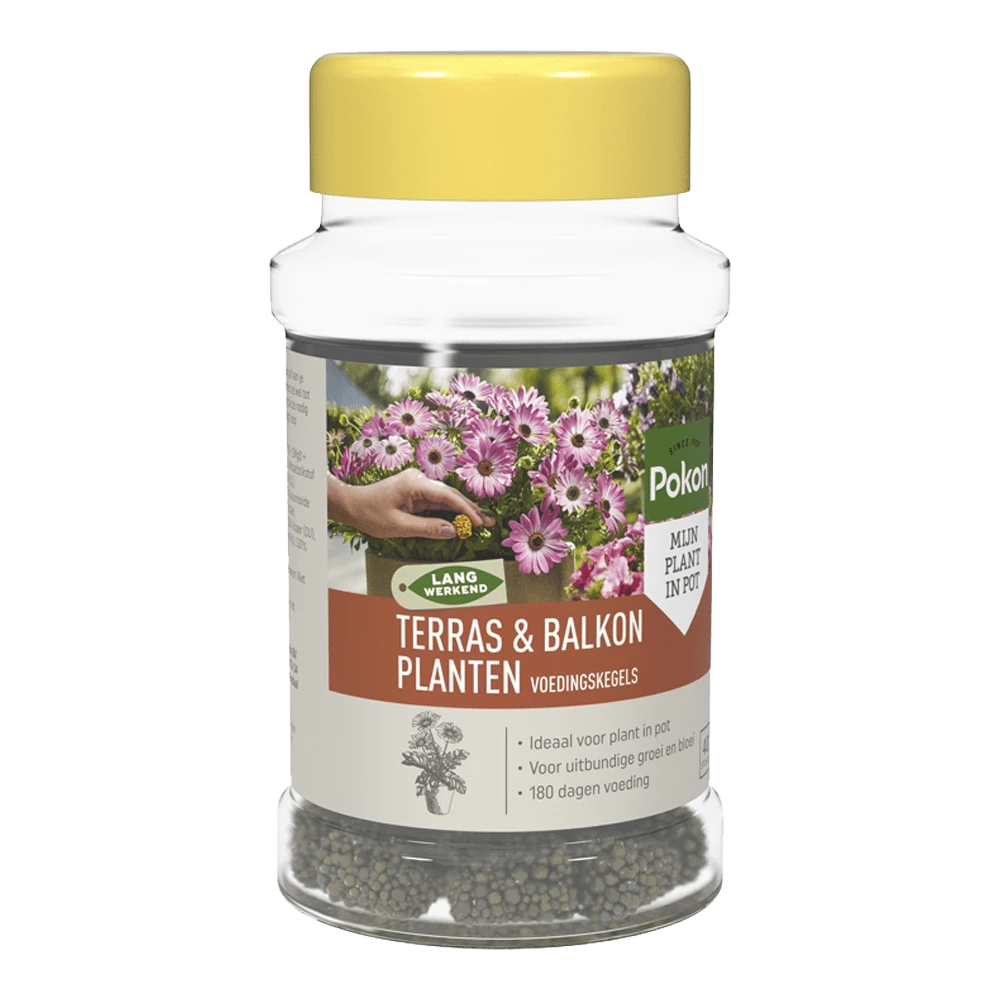 Pokon Terras & Balkon Planten Voedingskegels 40 Stuks - Tuinplanten Voeding 1 Pokon Terras & Balkon Planten Voedingskegels 40 Stuks - Tuinplanten Voeding